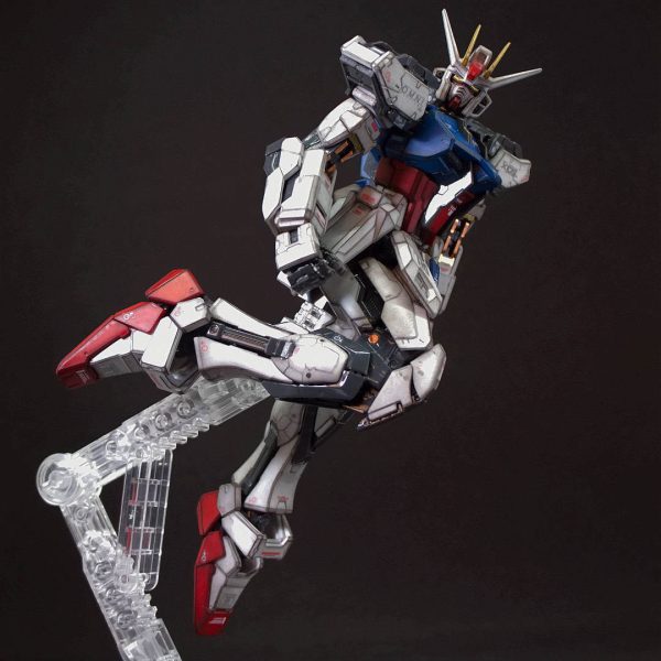 飛び立つ前の写真（全身）