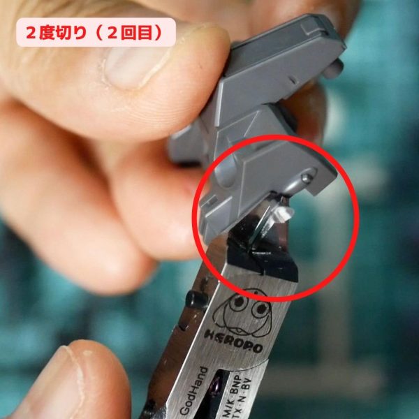 ２度切り２回目写真